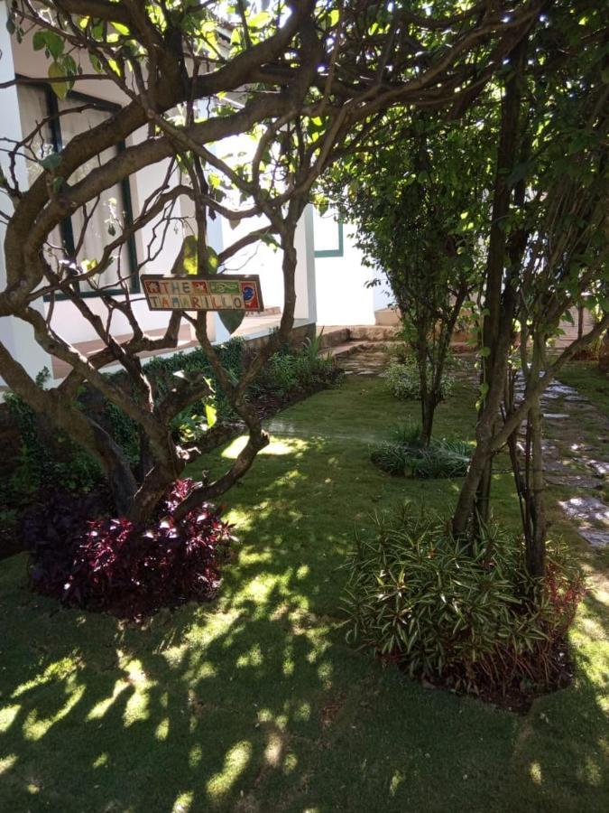 The Tamarillo Bed & Breakfast Udagamandalam Exterior photo