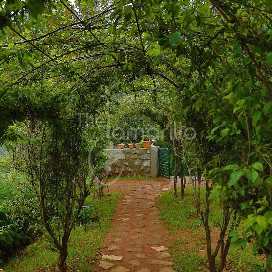 The Tamarillo Bed & Breakfast Udagamandalam Exterior photo