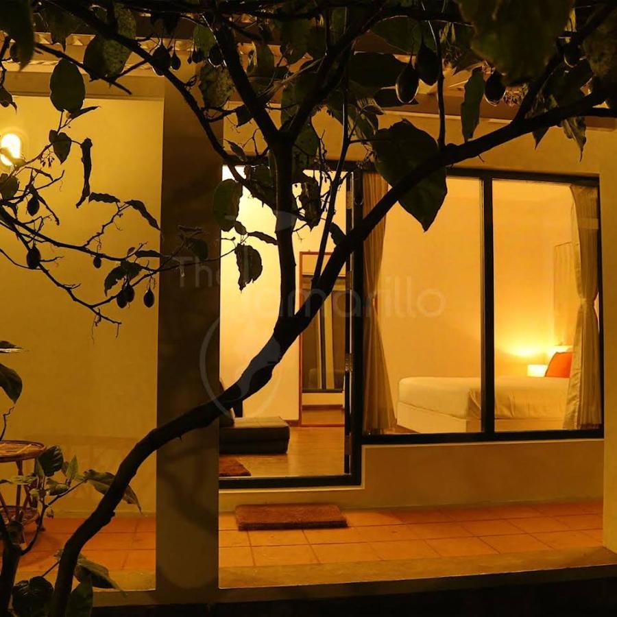 The Tamarillo Bed & Breakfast Udagamandalam Exterior photo