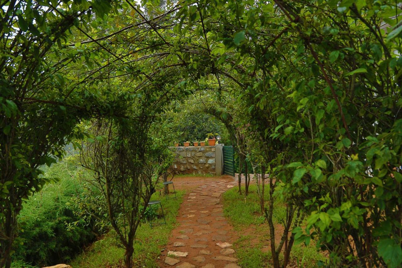 The Tamarillo Bed & Breakfast Udagamandalam Exterior photo